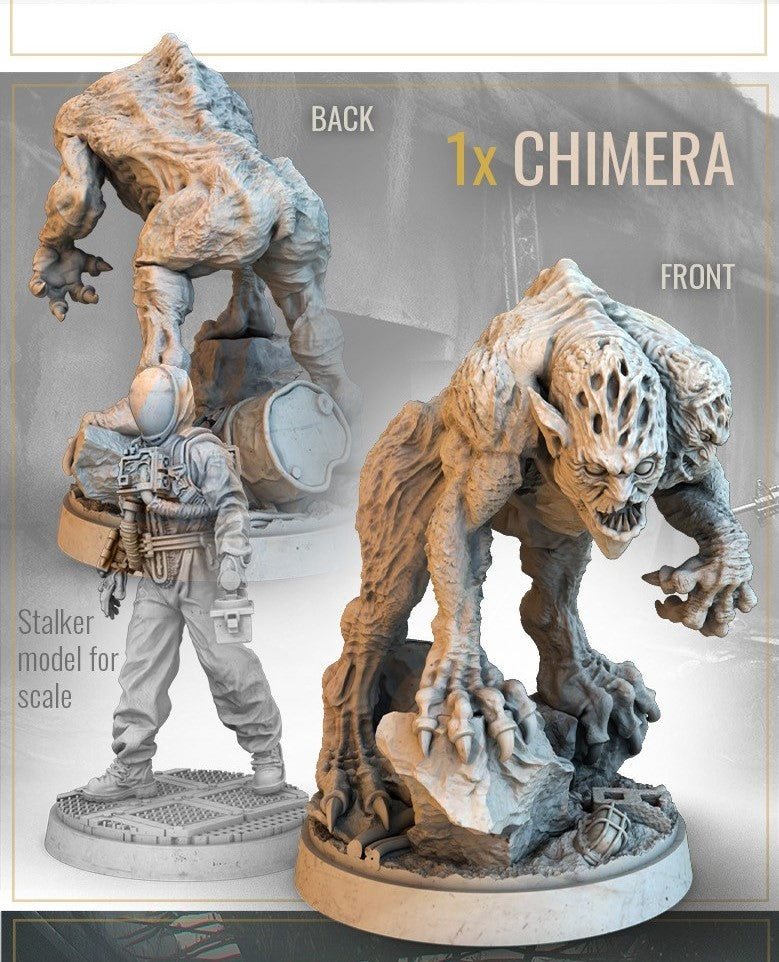 STALKER Zone Treats Erweiterung englische Gamefound Ausgabe Englisch