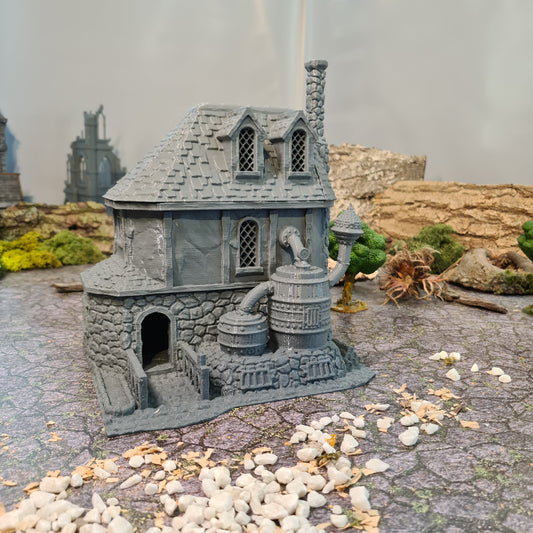 Alchemisten Haus Mittelalter 3D Terrain Gebäude Miniature Land DnD RPG Tabletop