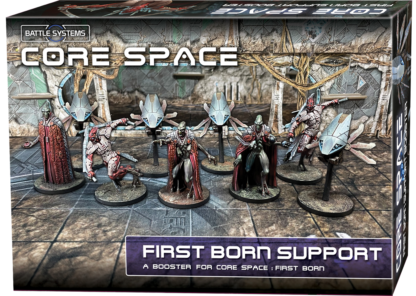 Core Space First Born Support Expansion English