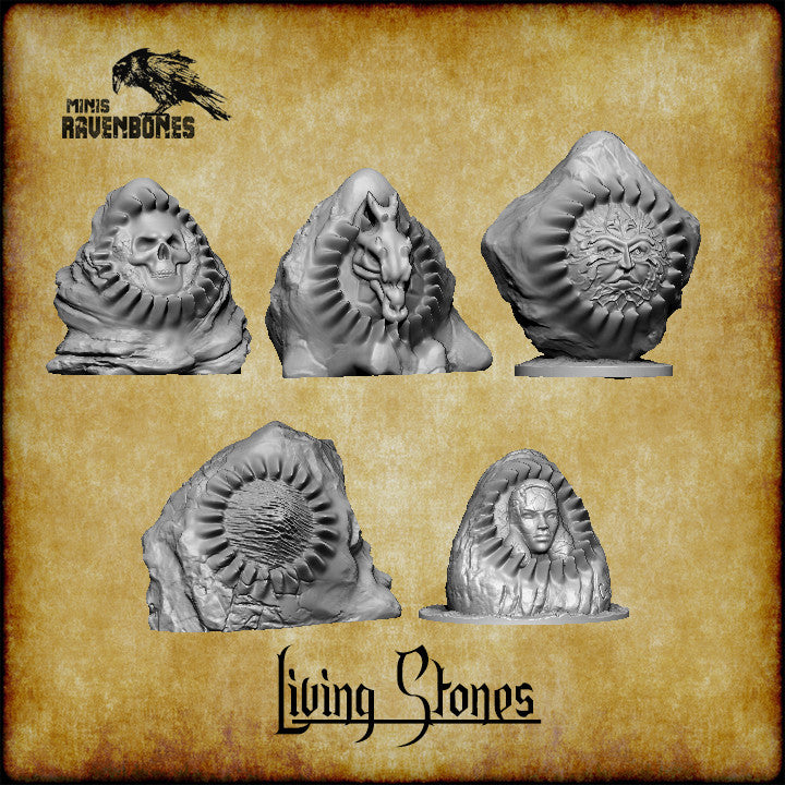 Lebendige Steine Set von RavenBones Miniaturen