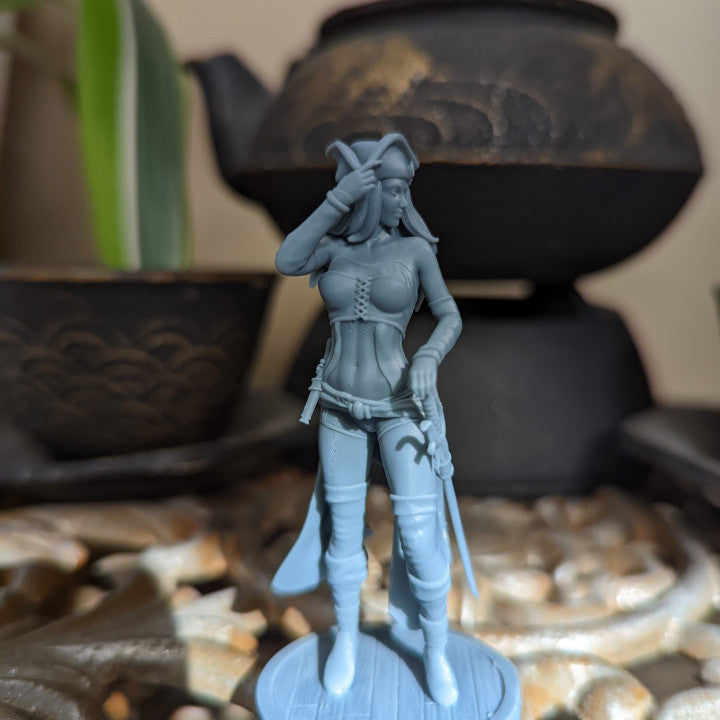 Andrea Pirate Girls Ravi DnD Dungeons and Dragons Tabletop Wargame Miniature RPG NPC 3D