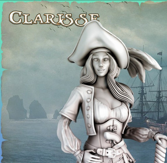 Clarisse Pirate Girls Ravi DnD Dungeons and Dragons Tabletop Wargame Miniature RPG NPC 3D