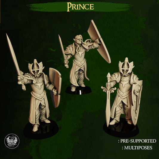 Elfen Prinz High Elves vs Dwarves The Master Forge DnD RPG Tabletop