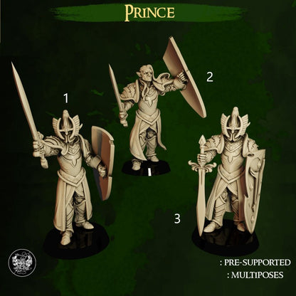 Elf Prince High Elves vs Dwarves The Master Forge DnD RPG Tabletop
