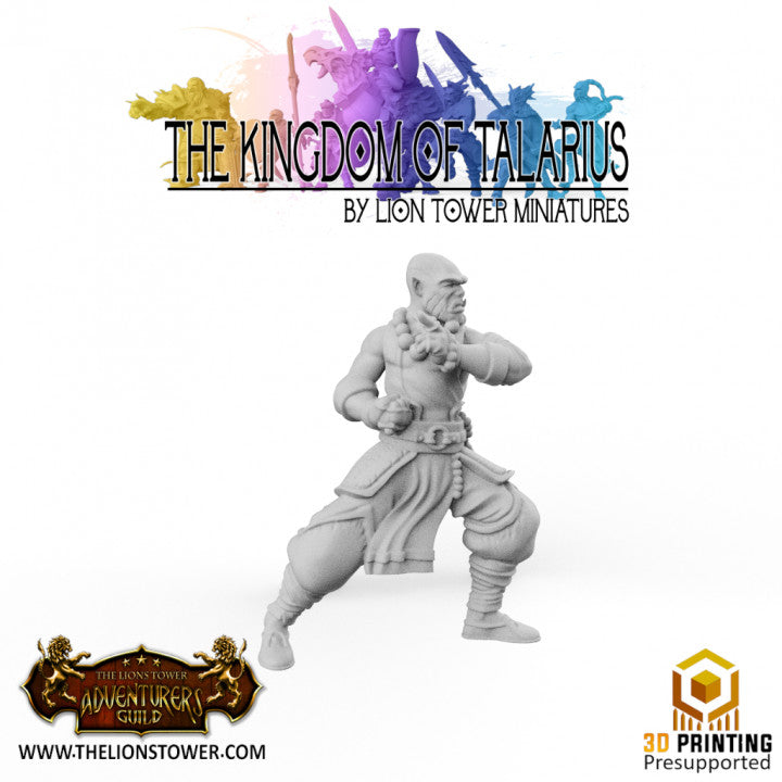 Battle Monks - Order of the Golden Lotus by Lion Tower Miniatures