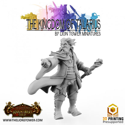 High Sage Toller - Kingdom of Talarius from Lion Tower Miniatures