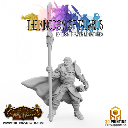 Captain Zahurd - Königreich von Talarius von Lion Tower Miniatures